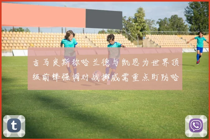 吉马良斯称哈兰德与凯恩为世界顶级前锋强调对战挪威需重点盯防哈兰德