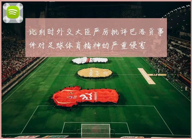 比利时外交大臣严厉批评巴洛贡事件对足球体育精神的严重侵害